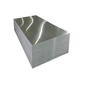 Kundenspezifische Herstellung Aluminium / Edelstahl / Verzinkte Lochblechplatte für die Dekoration 